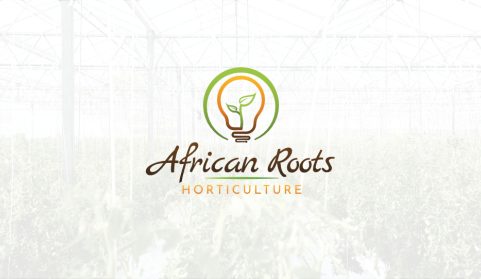 African Roots Horticulture Logo Design Colour
